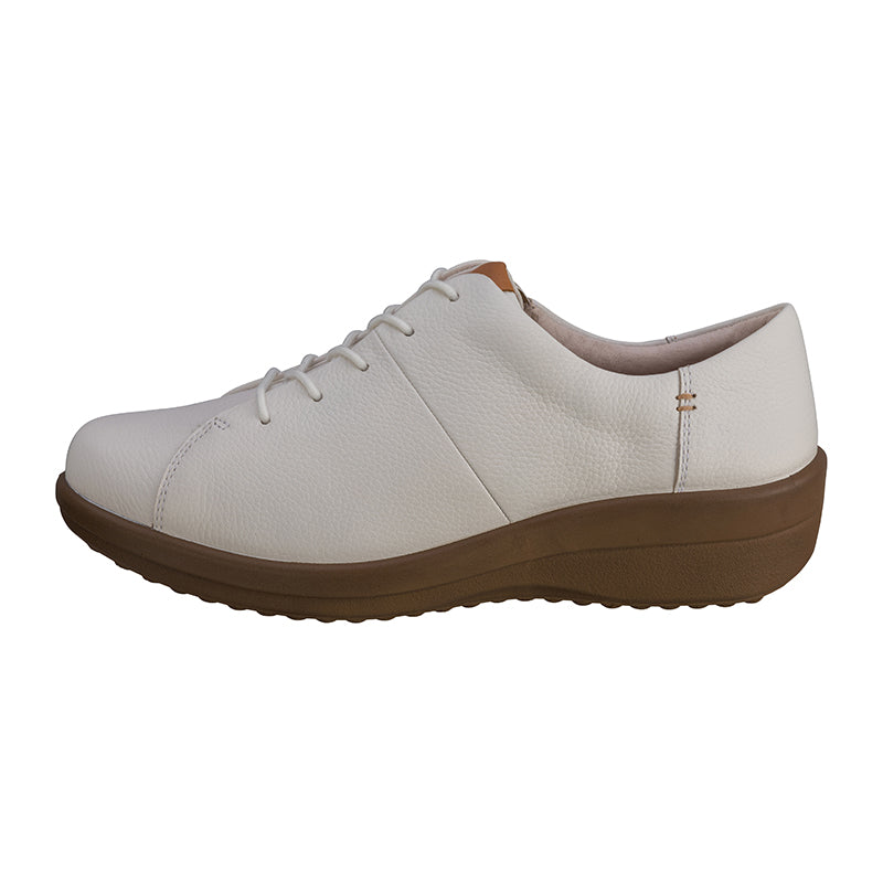 アキレス・ソルボ C 347 白