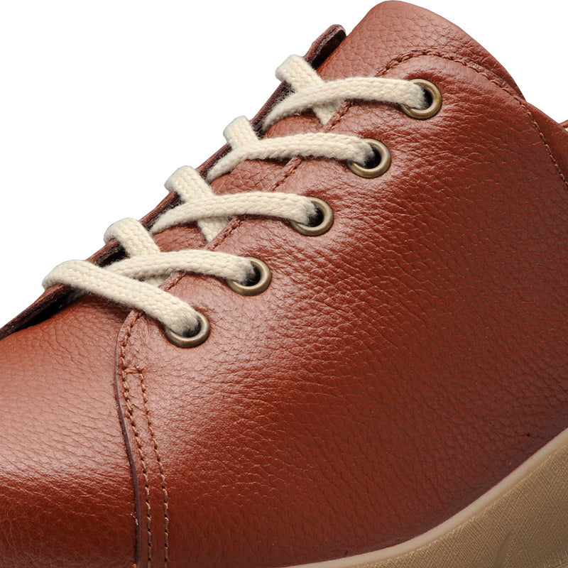 アキレス・ソルボ C 527 ブラウン