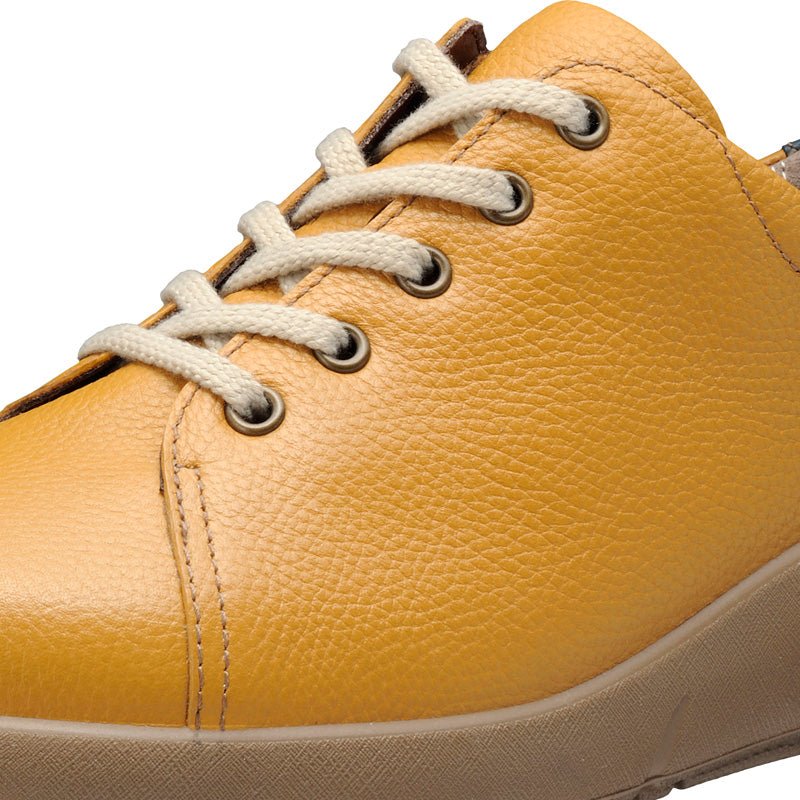 アキレス・ソルボ C 527 マスタード