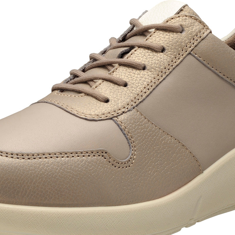 アキレス・ソルボ C 528 ゴールド/ウォームグレー