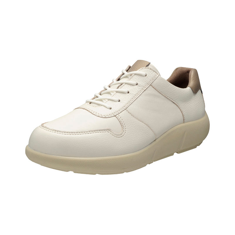 アキレス・ソルボ C 528 白