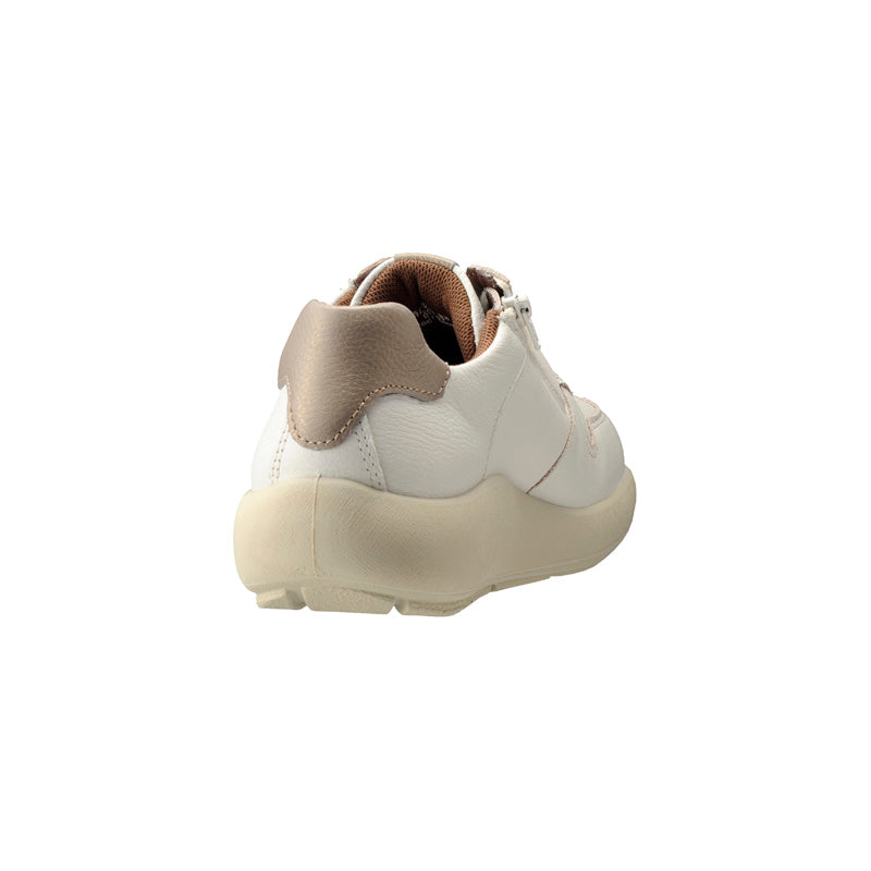 アキレス・ソルボ C 528 白