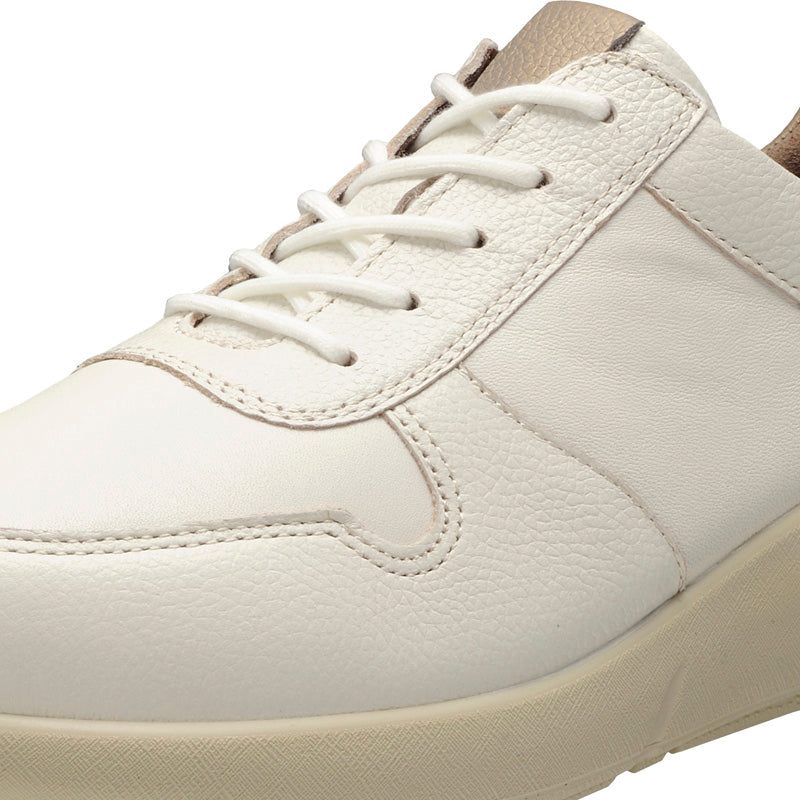 アキレス・ソルボ C 528 白