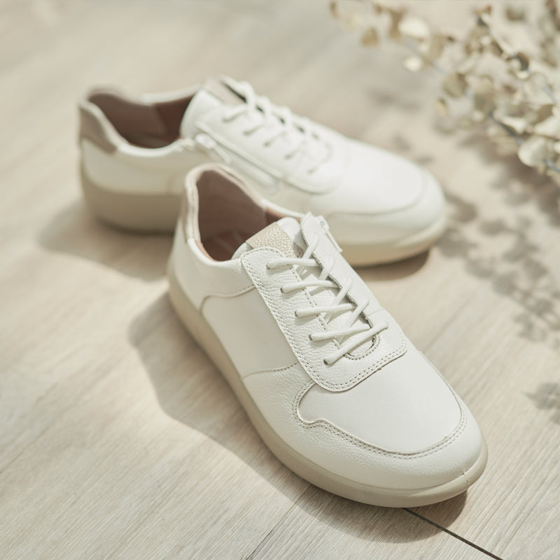 アキレス・ソルボ C 528 白