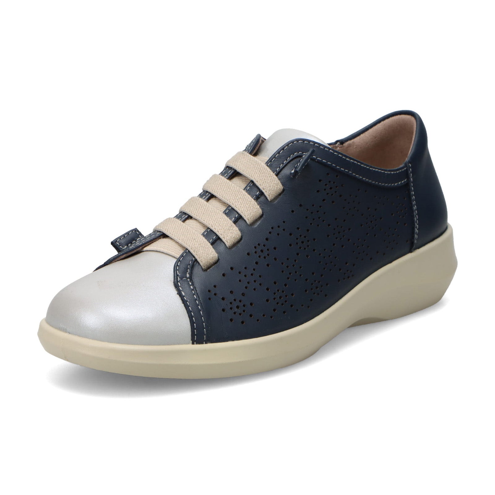 アキレス・ソルボ C 559 ネービー/シルバー