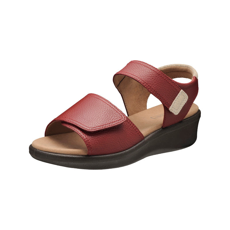 アキレス・ソルボ C 587 レッド