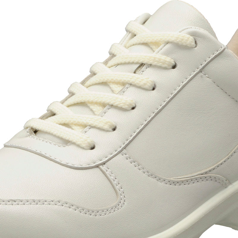 アキレス・ソルボ C 589 白