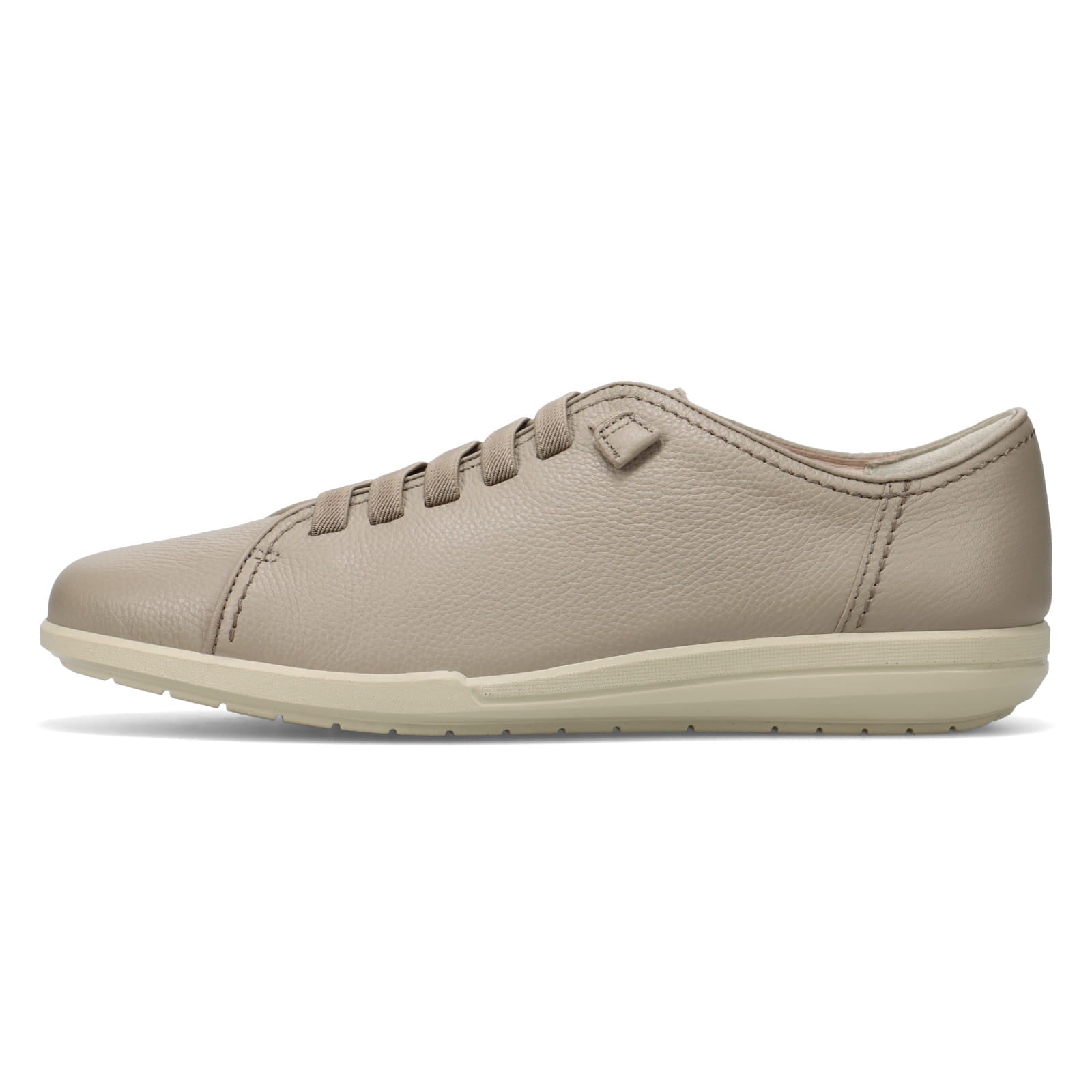 アキレス・ソルボ C 566 ウォームグレー