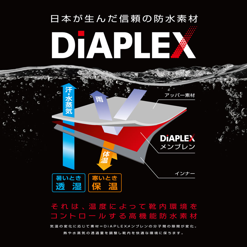 ALL DAY Walk 310 オーク