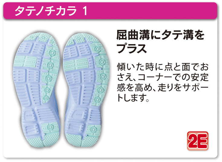 タテノチカラ 1