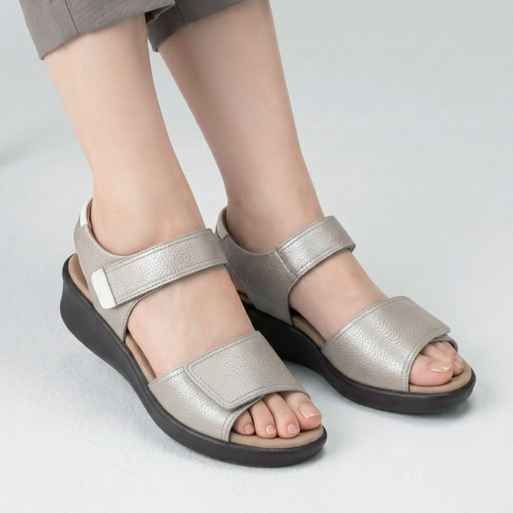 アキレス・ソルボ C 587　シルバー