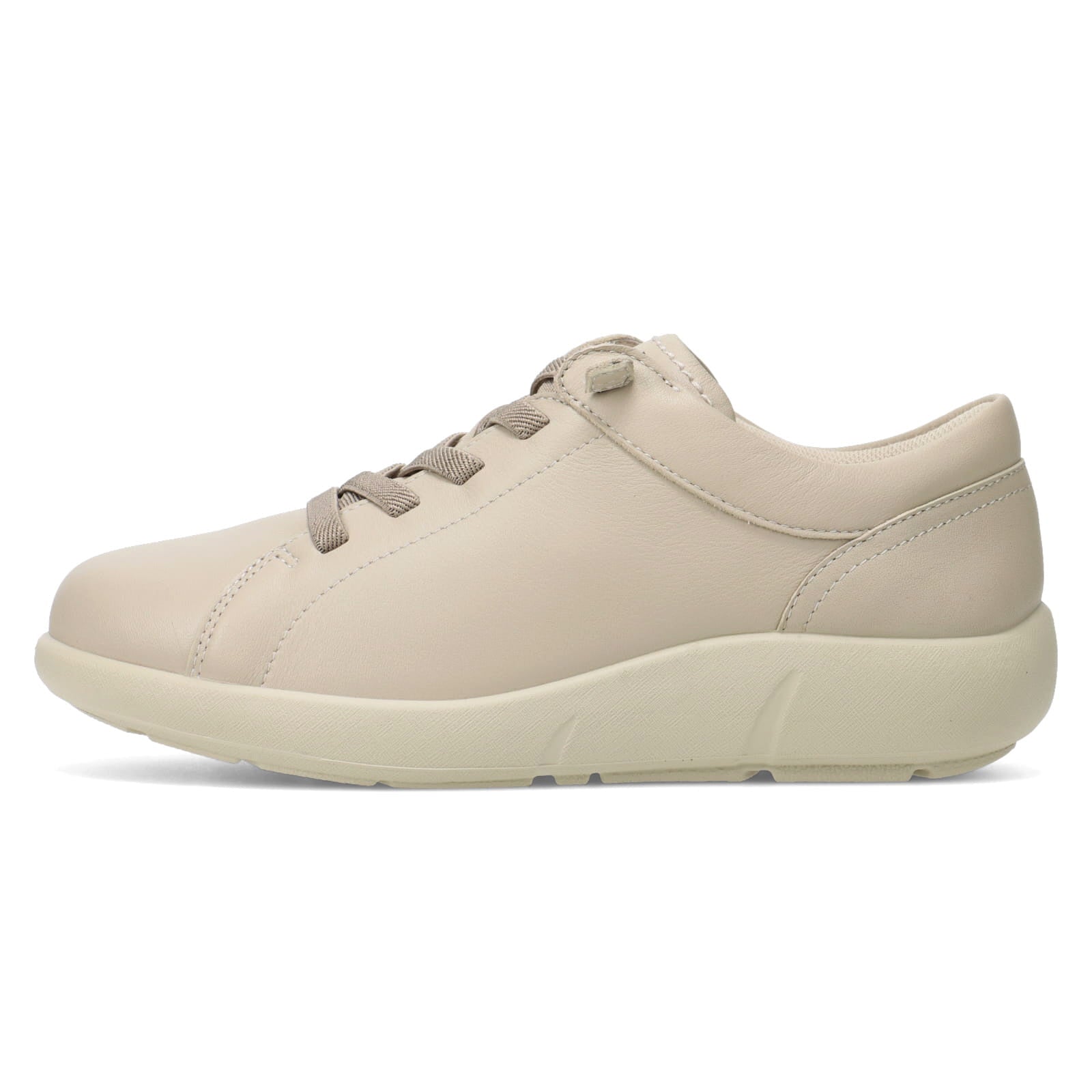 アキレス・ソルボ C 624　オーク