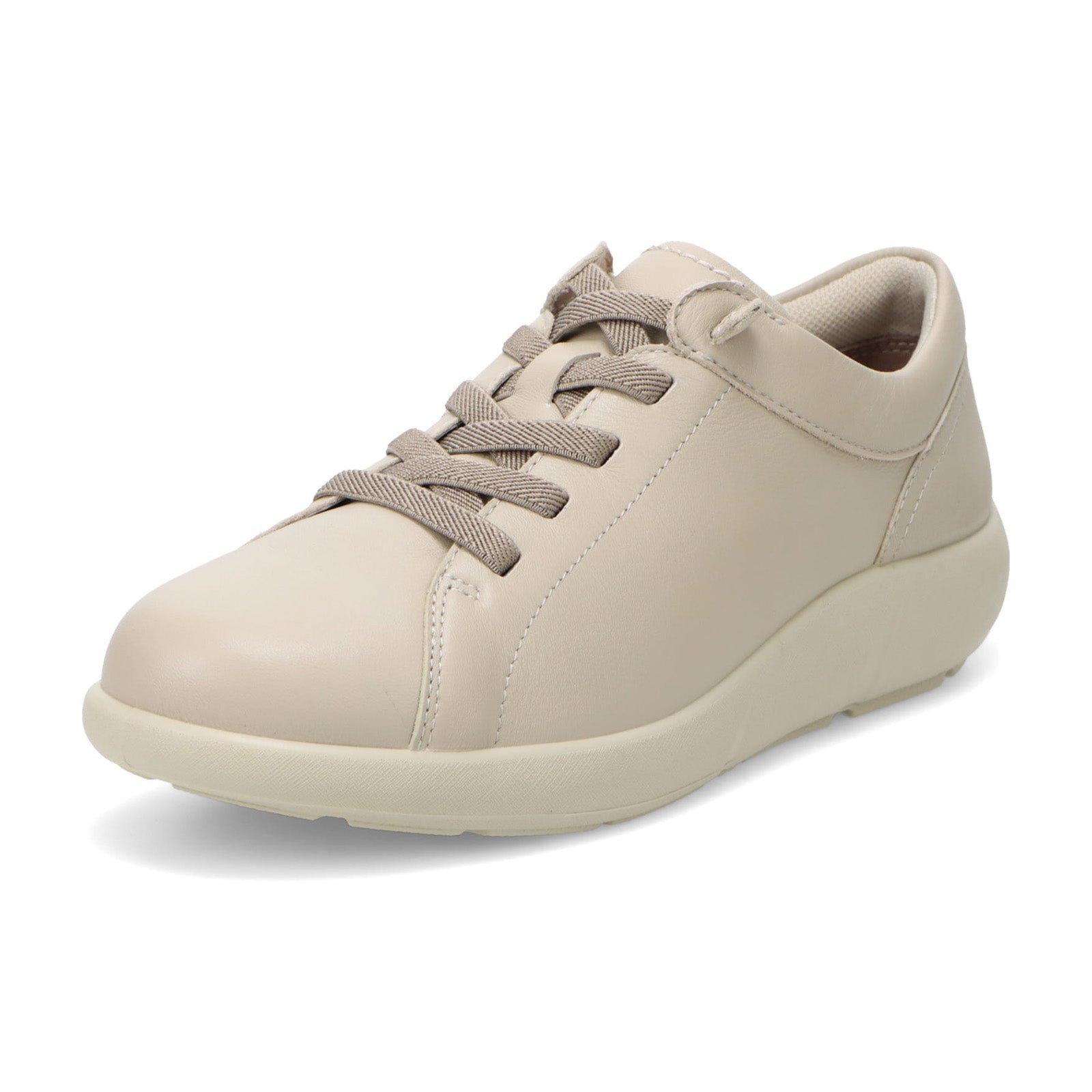 アキレス・ソルボ C 624　オーク