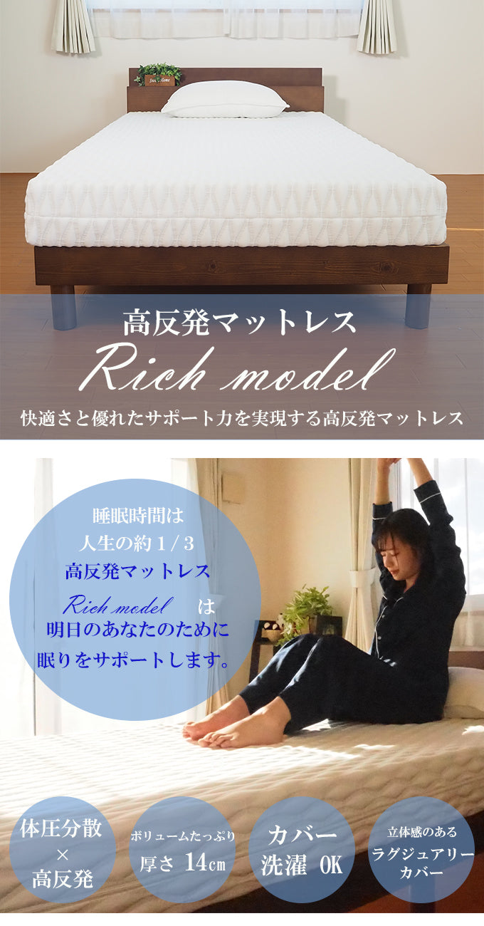 [WEB-DNWH-14M] Rich model