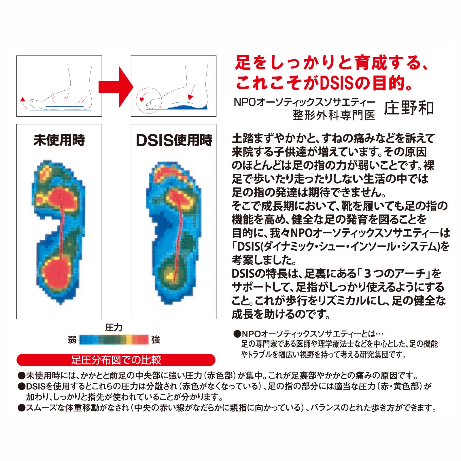 DSIS 瞬足インソール